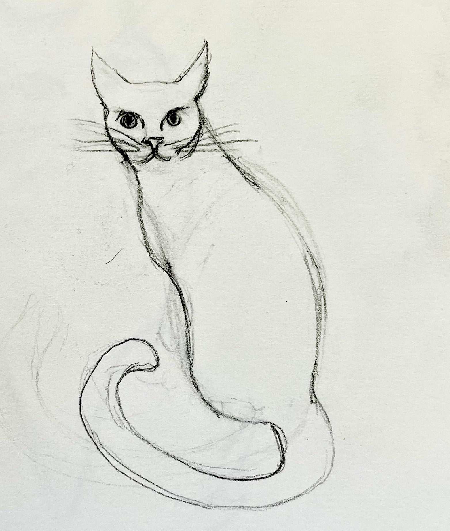 Maha Victor Gallery maha-victor-gallery