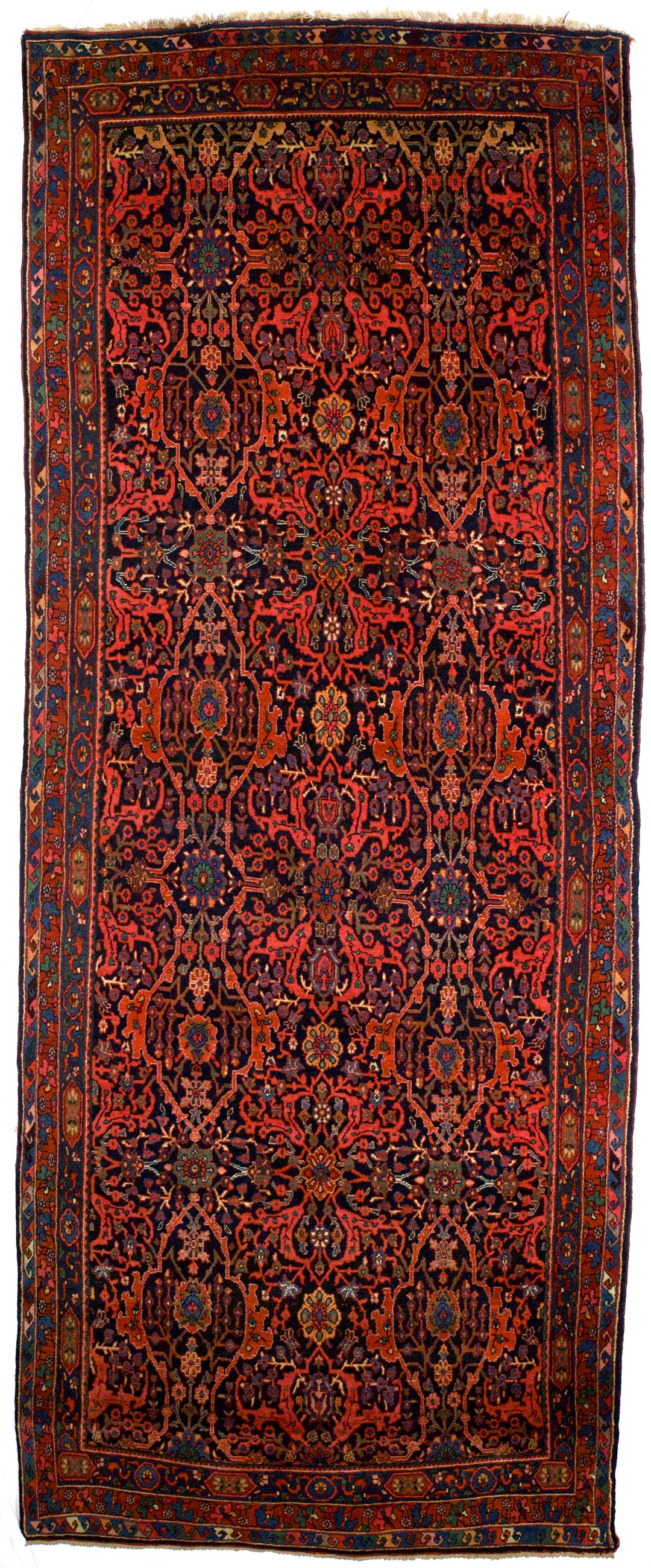 Bidjar Rug 5'4" x 13’7"
