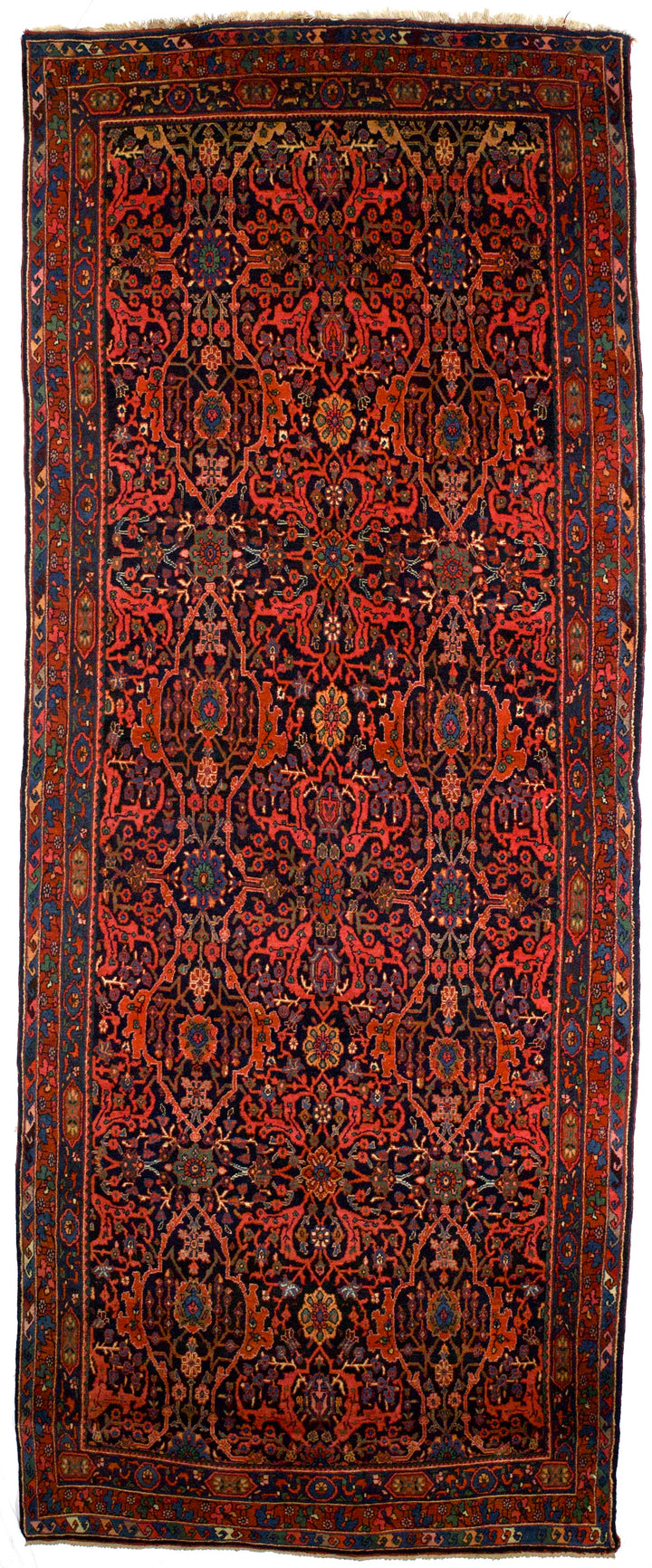 Bidjar Rug 5'4" x 13’7"