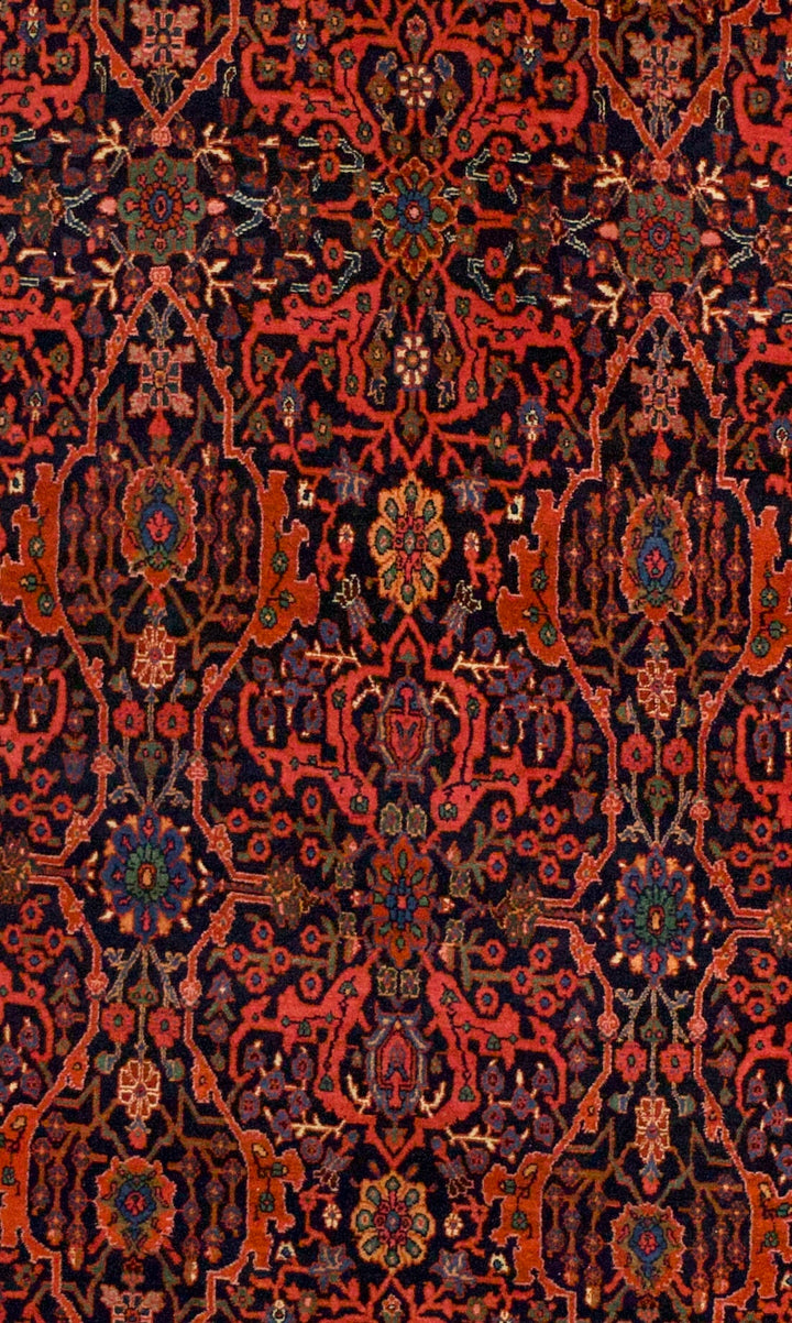 Bidjar Rug 5'4" x 13’7"